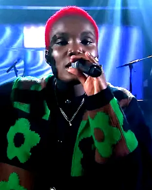 Arlo Parks Los Angeles