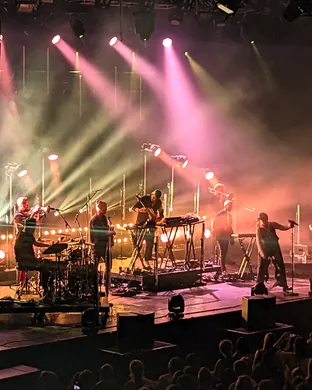Bonobo