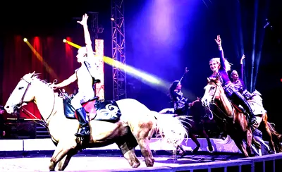 Garden Bros Nuclear Circus