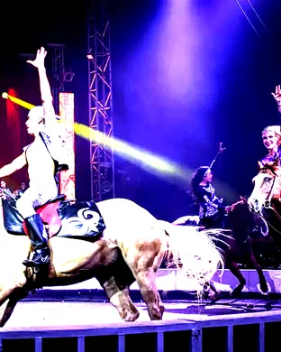 Garden Bros Nuclear Circus: Fun Factory