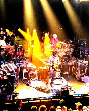 Geese - Band Los Angeles