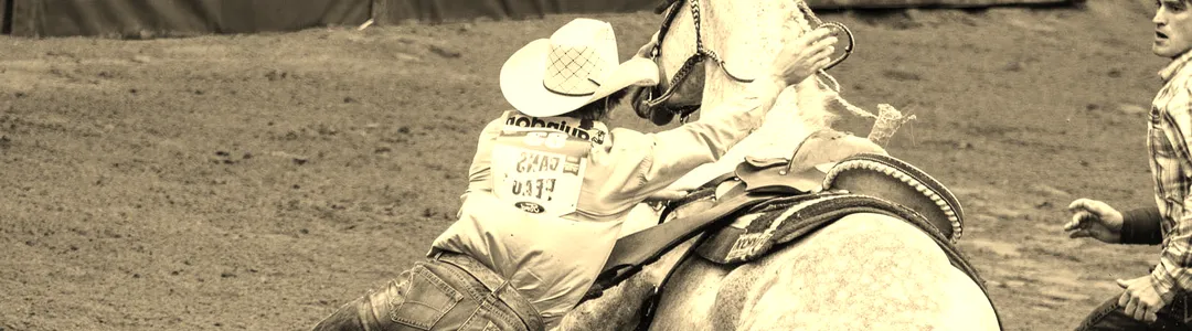 Jurupa Valley Community Pro Rodeo