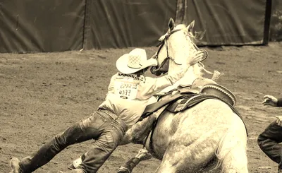 Jurupa Valley Community Pro Rodeo
