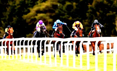 Live Racing