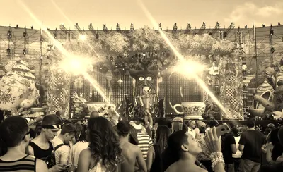 Nocturnal Wonderland
