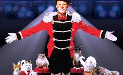 Popovich Comedy Pet Theater