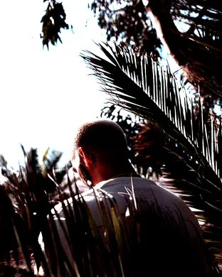 Live concert by Ryan Ellis