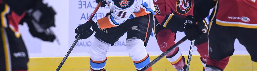 San Diego Gulls