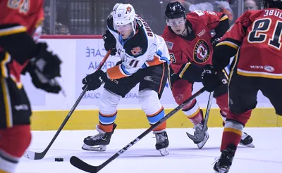 San Diego Gulls