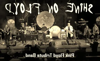 Shine On Floyd - Pink Floyd Tribute Band