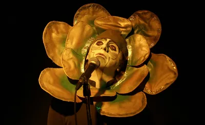 The Musical Box