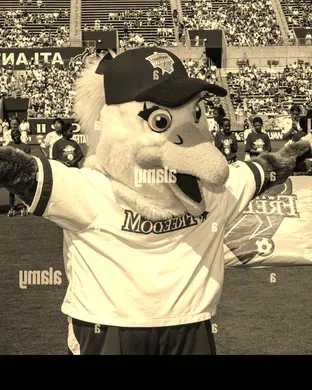 Major League Cricket: Washington Freedom vs. San Francisco Unicorns & LA Knight Riders vs. MI New York