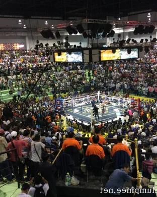 MicroMania Wrestling