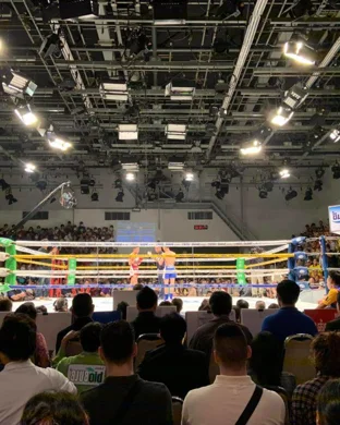 SMX World Championship Playoffs