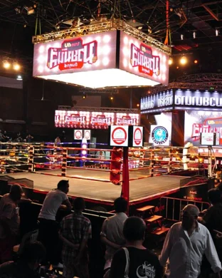 Quest Martial Arts: Black Belt Spectacular