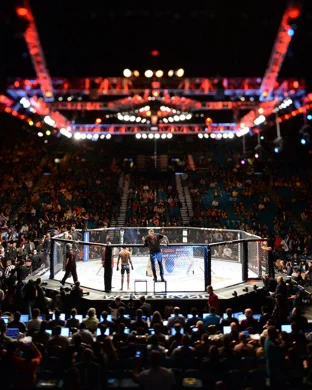UFC 331: Van vs. Pantoja 2 sports event
