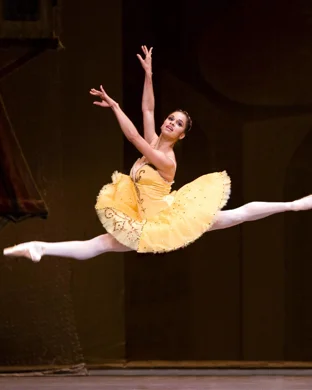 Swan Lake - Symphony of Lights Los Angeles